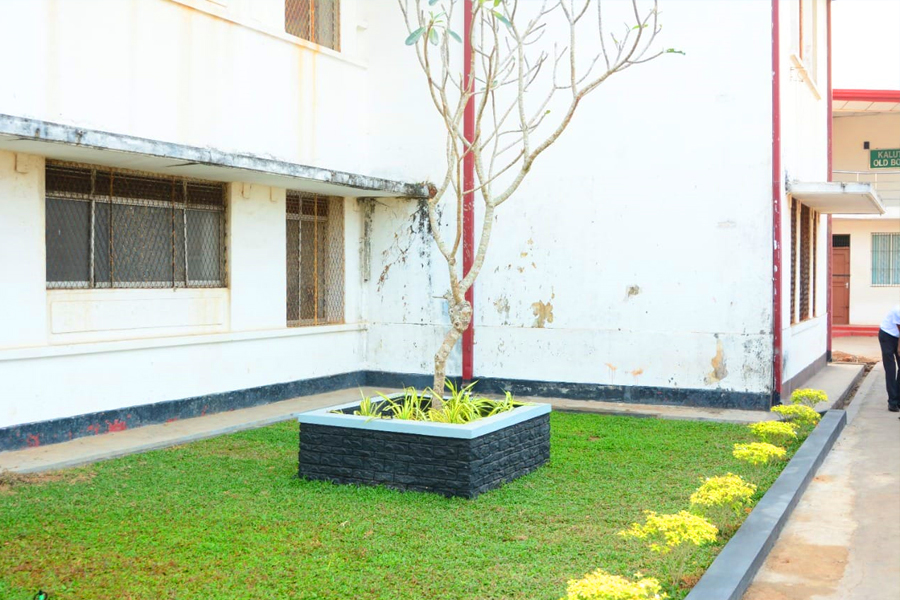 Landscaping The School