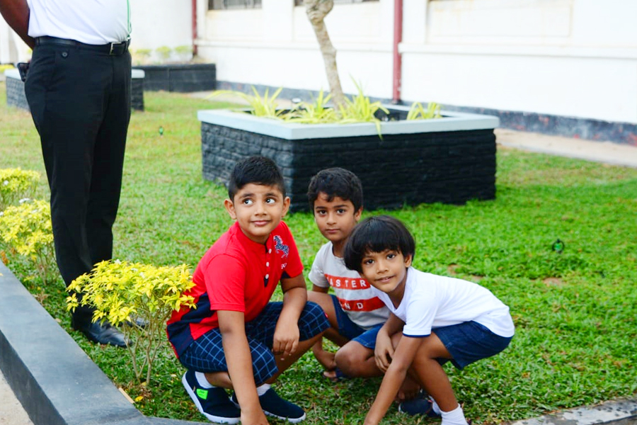Primary Section Landscaping